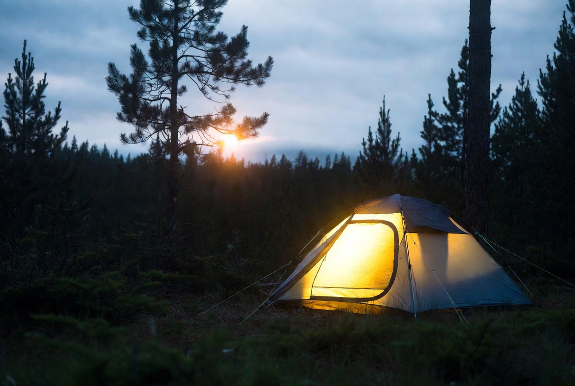 Camping in the woods